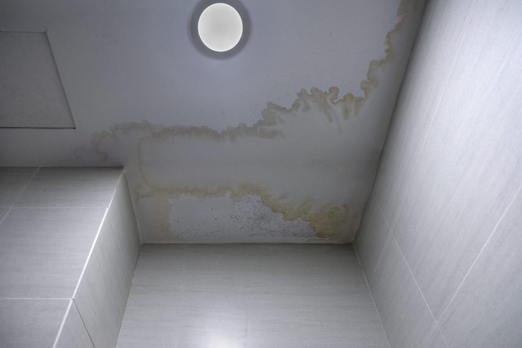 mildew stains at ceiling 2022 11 01 04 34 38 utc scaled 1