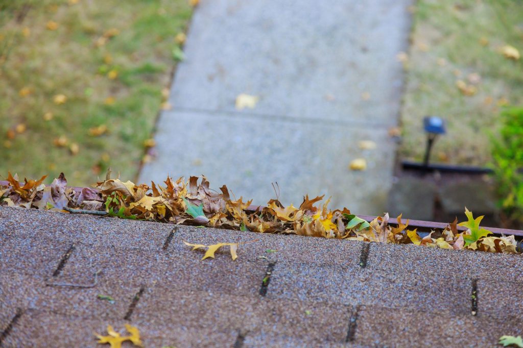 yellow leaves are covered with iron gutter cover o 2022 11 12 10 00 36 utc scaled 1