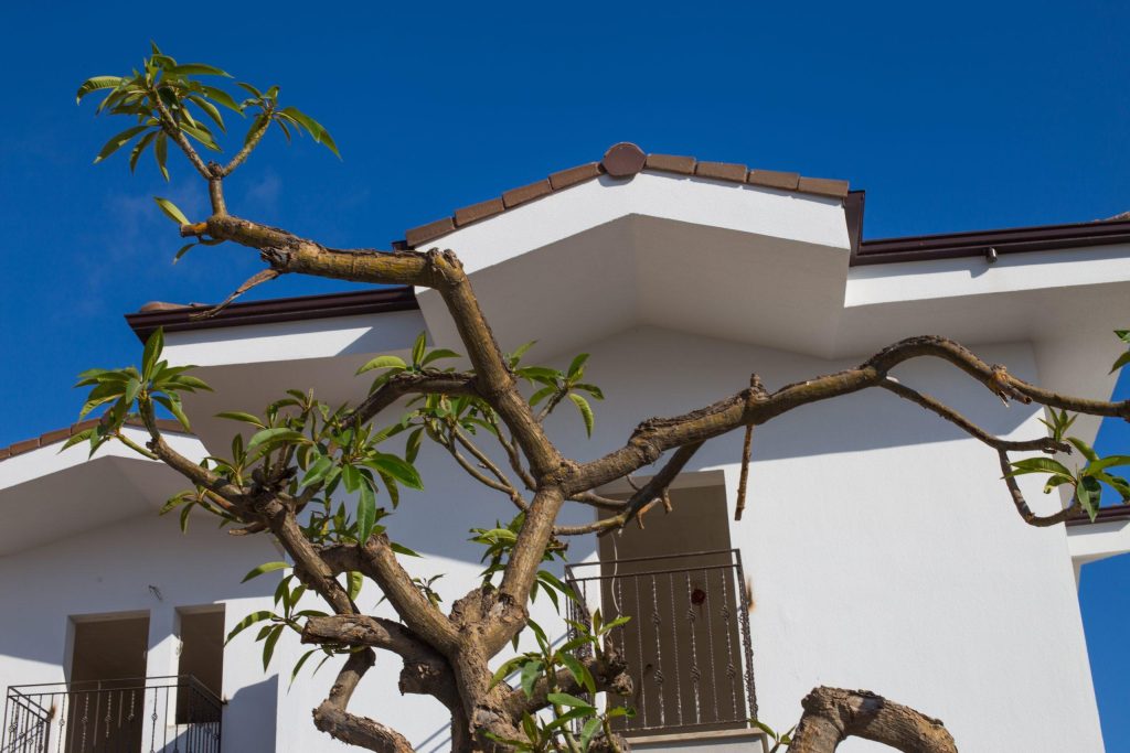 window of a antique houses in side town in antalya 2023 11 27 04 55 18 utc scaled 1